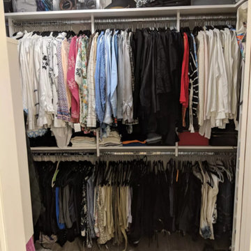 Organization