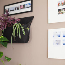 decorate my walls