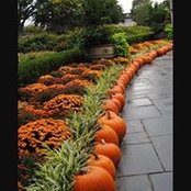 Connie Walton's photo
