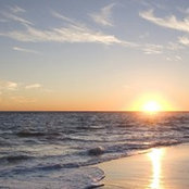 aves g's photo