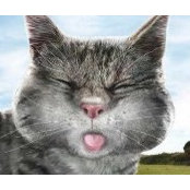 Lana Kobbys's photo