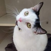 Susie Carr's photo