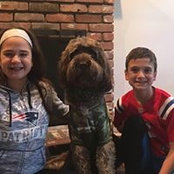 Joe DiDomenico's photo