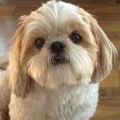 Nikki Bahr's photo