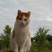 Randy Sprecher's photo