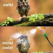 Armelle Carinha's photo