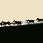 Photo de Andrew Lin