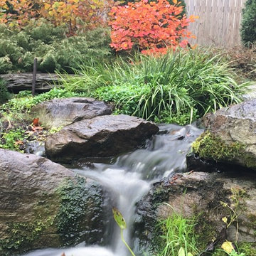 Pondless Waterfalls, Disappearing Waterfalls, Baltimore, Maryland (MD)