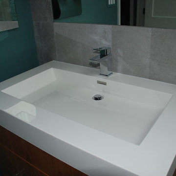 Old Town Alexandria Contemporary Master Bath