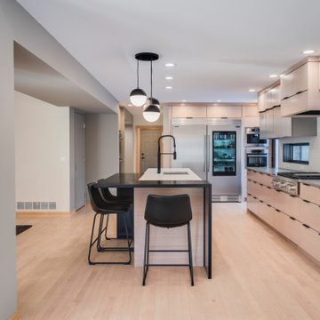 Minimalist Modern Kitchen