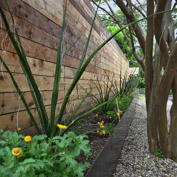 Custom Steel Planters