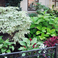 GARDENS