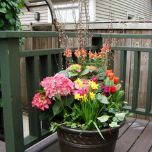 Landscape Ideas