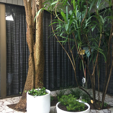 Courtyard garden renovation - Vaucluse