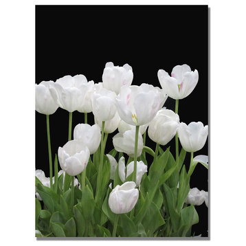 'White Tulips' Canvas Art by Kathie McCurdy