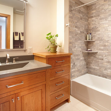 Orono Remodel