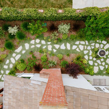 Yard ideas
