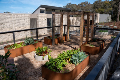 Contemporary garden in Melbourne.