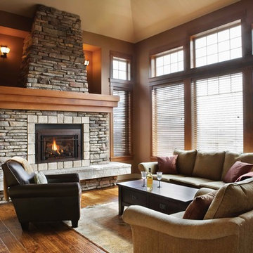 Gas Fireplace Inserts