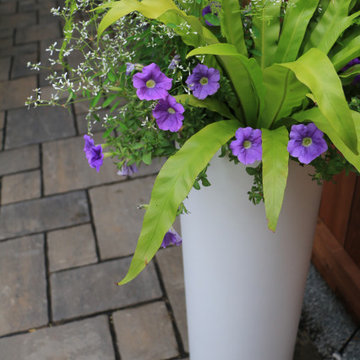 Urban Cottage Backyard
