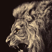Prashant Singh's photo