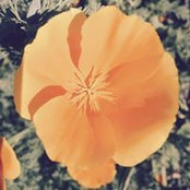 Foto de Kathy Morrison
