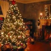 Sandra Hayes's photo