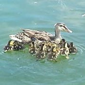 Elizabeth Spilker's photo