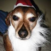 Ralph Ford's photo