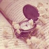 Noha Nosha's photo