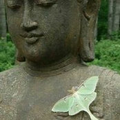 Robin Dawkins's photo