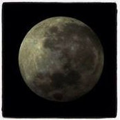 Marcelo Cominguez's photo