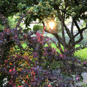 Ashley Denhaan's photo