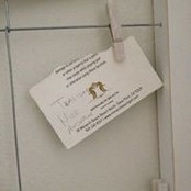 Mike Anderson's photo