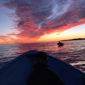 Rob Wein's photo