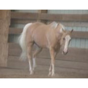 Bonnie Tomlin's photo