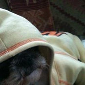 Foto von Steph Spary