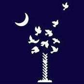 Sally Rowe's photo