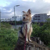 Petra Wolter's photo