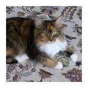 Suzanne Brooks's photo