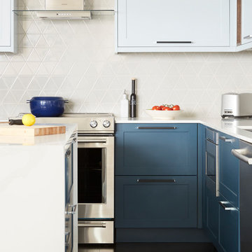 Downtown Toronto Condo Kitchen