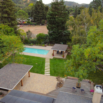 MId-Century Modern Backyard Forest