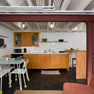 Ejemplo de sótano con puerta contemporáneo, grande, sin chimenea, con paredes blancas, suelo de cemento y suelo negro