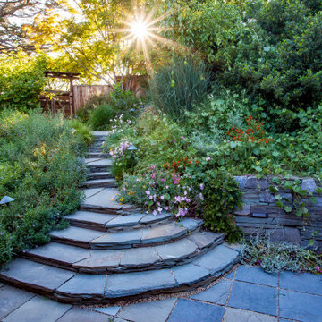 Grassy Meadow Oasis - Reduces Waste While Increasing Habitat