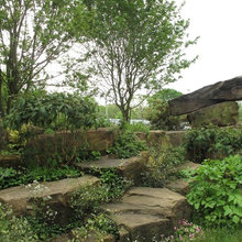 yard