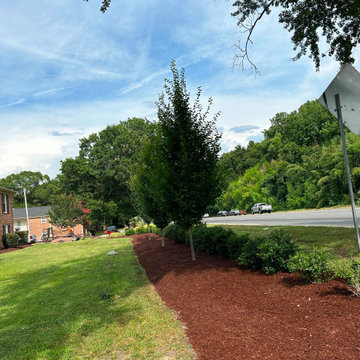 Commercial Outdoor Site Preparation.