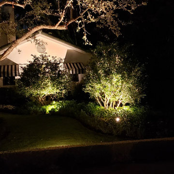Garden Santuary Landscape Renovation