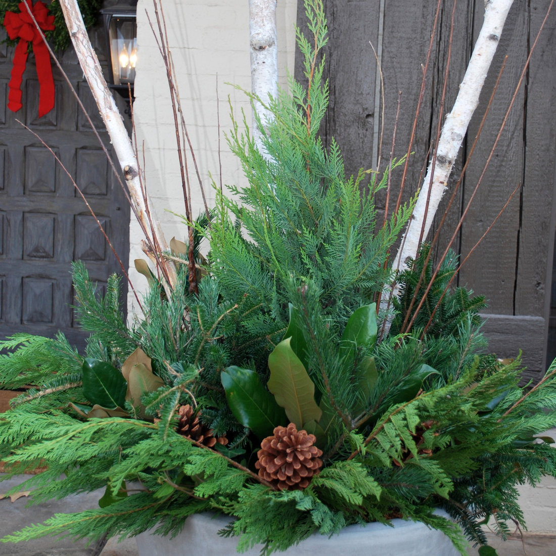 Winter Container Gardens