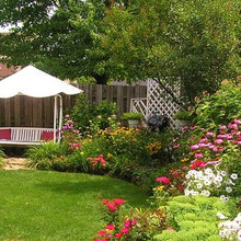 Backyard Ideas