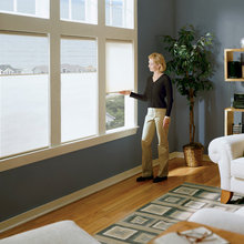 Windows and Blinds